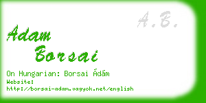 adam borsai business card